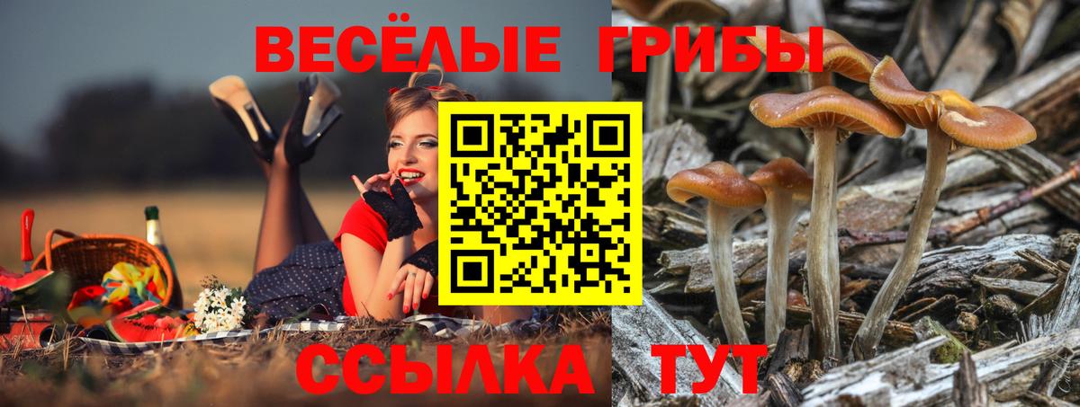 Псилоцибиновые грибы ЛСД Заринск